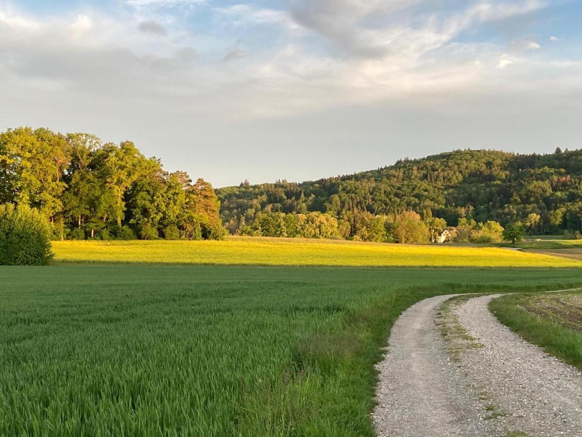 Buesingen Am Hochrhein Radfahren, Wandern, Natur Geniessen Kültér fotó