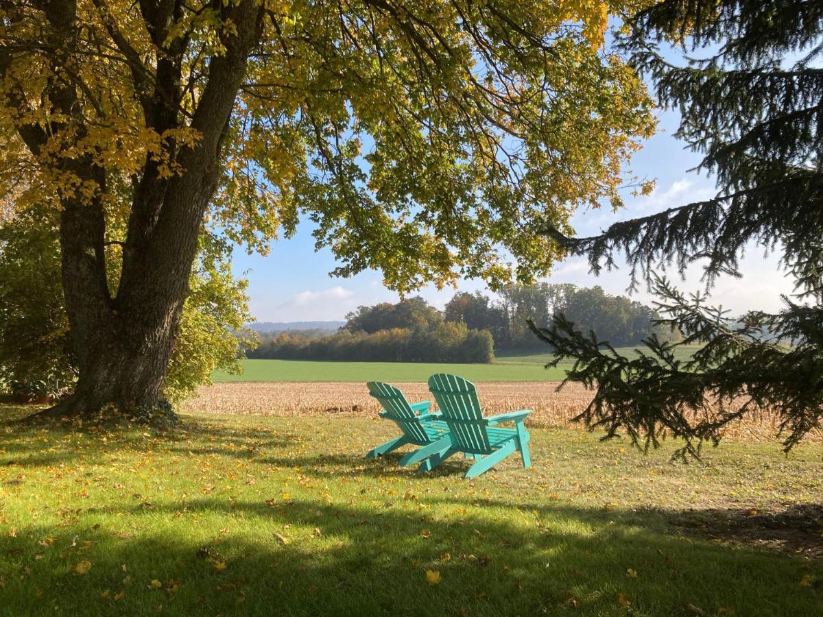 Buesingen Am Hochrhein Radfahren, Wandern, Natur Geniessen Kültér fotó
